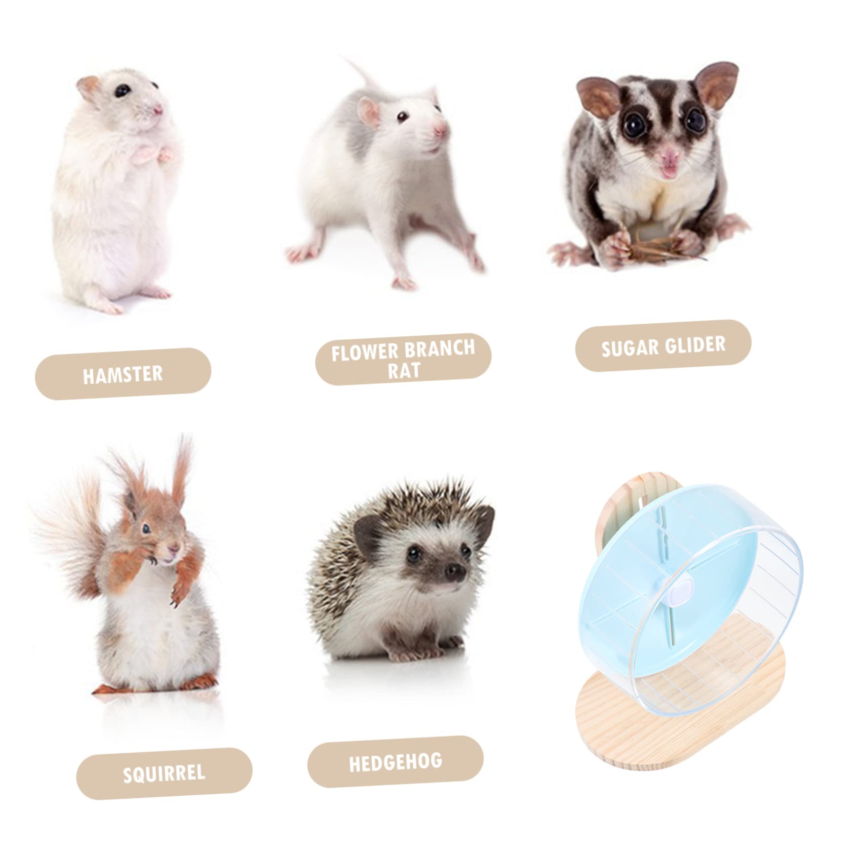ibasenice Rueda Silenciosa para Hámster con Soporte de Madera Accesorio de Plástico para Pequeños Roedores Ejercicio para Mascotas Pequeñas como y Erizos Diseño Duradero y Transparente