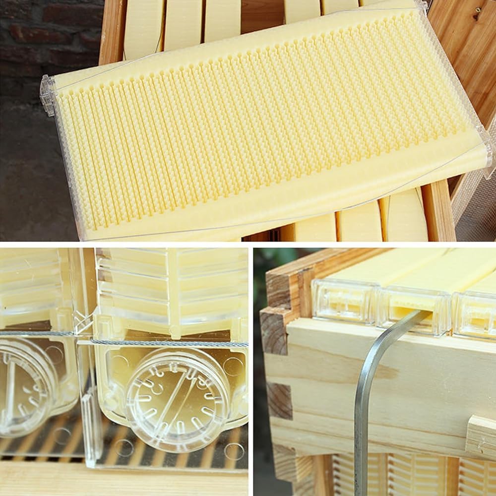 Beehive - Kit de colmena automático de madera con 7 panales y marco de calidad alimentaria sin BPA para principiantes y apicultores profesionales