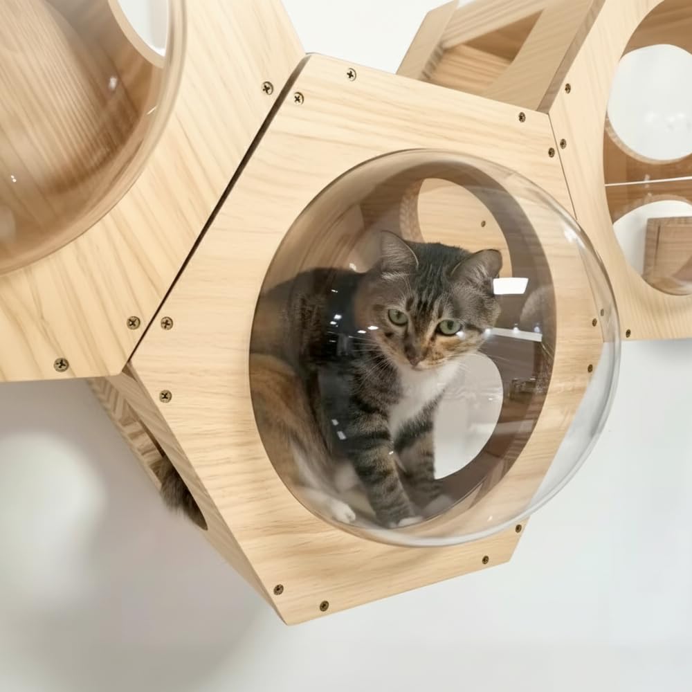 Amazon.co.jp: Bonarca キャットウォーク 壁 カプセル キャット