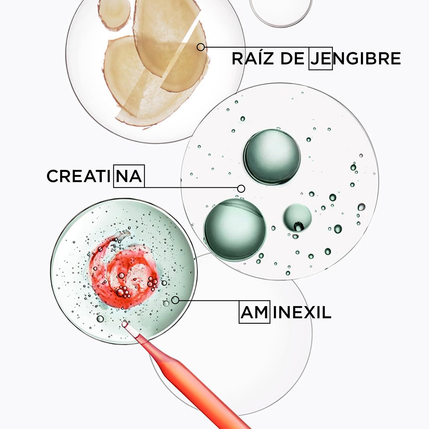 KERASTASE Genesis Homme - Bain de Force Quotidien - Shampoing Purifiant - Cheveux, Cuir Chevelu, Barbe - Créatine & Racine de Gingembre - Sans Silicone - Cheveux Affaiblis & Affinés - 250 ml
