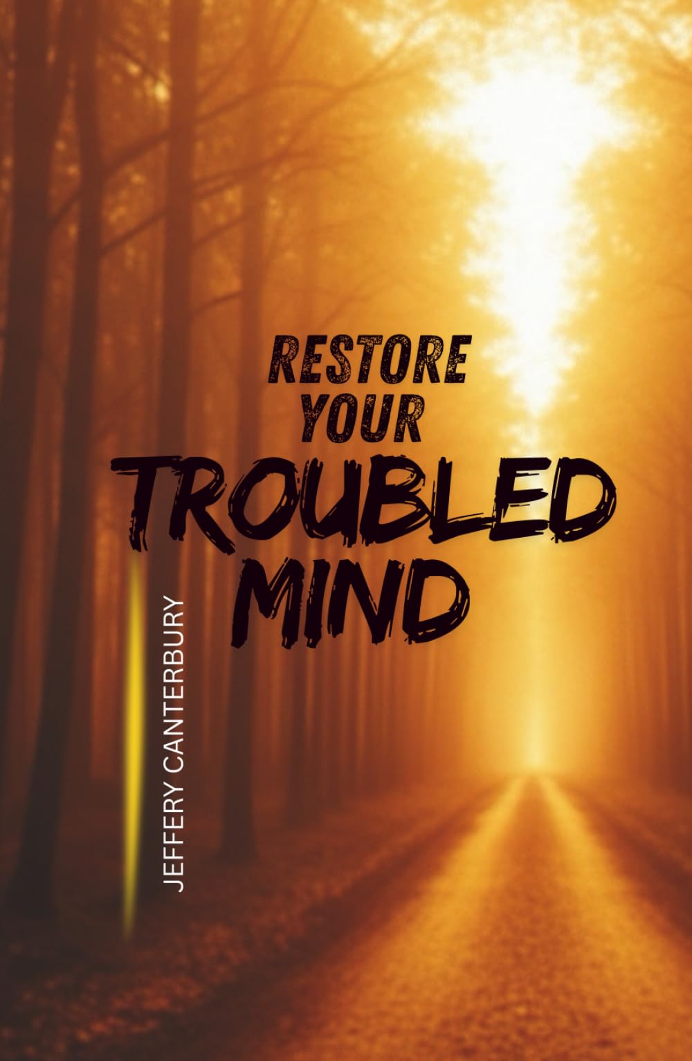 Restore Your Troubled Mind: Practical Hope for Anxiety, Depression, and Emotional Exhaustion