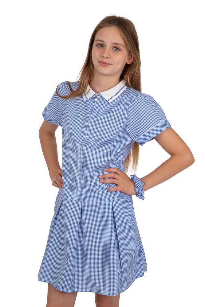 Listers Schoolwear Girl's School Uniform Pleated Gingham Summer Dress + Hair Bobble Age 3 4 5 6 7 8 9 10 11 12 13 14 15 16 17 18 Years — view 3