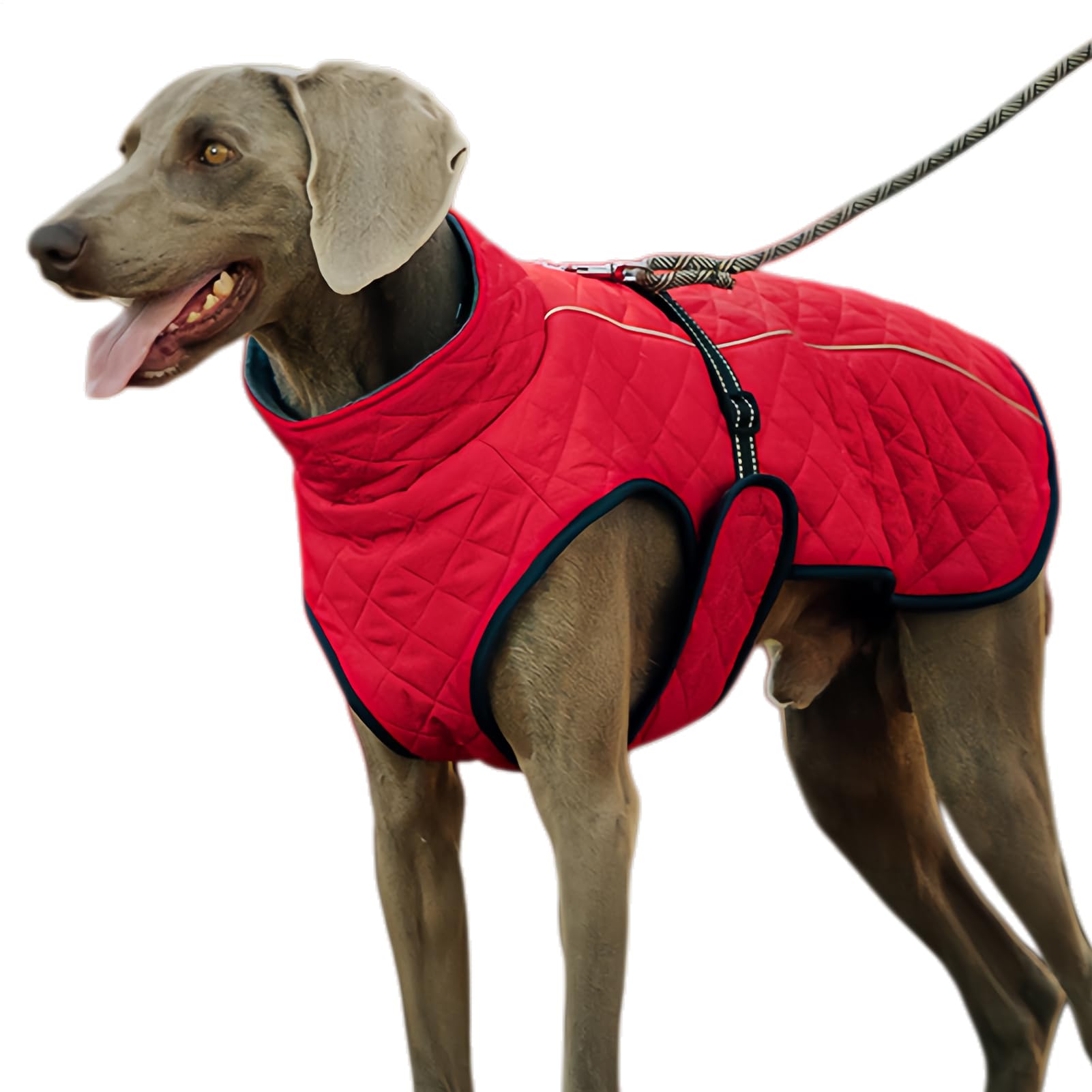 Abrigo para perros grueso que combate el frío en paseos urbanos y montaña