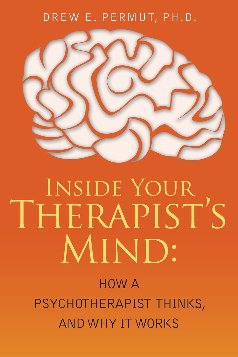 Inside Your Therapist's Mind: How A Psychotherapist Thinks, and Why It Works