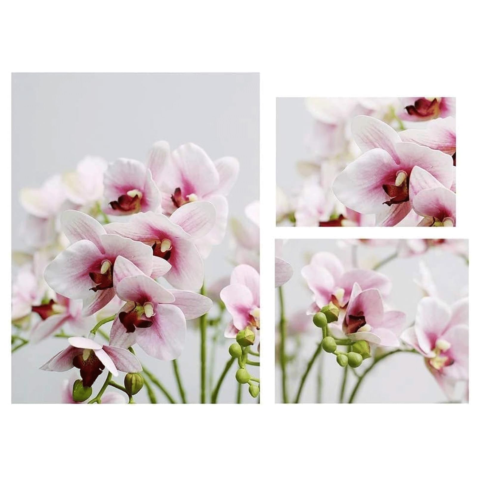 Fiori Artificiali di Phalaenopsis in Vaso Nero - Piante di Orchidee finte realistiche in Vaso per centrotavola, Decorazioni per Interni, casa e Ufficio (Giallo)