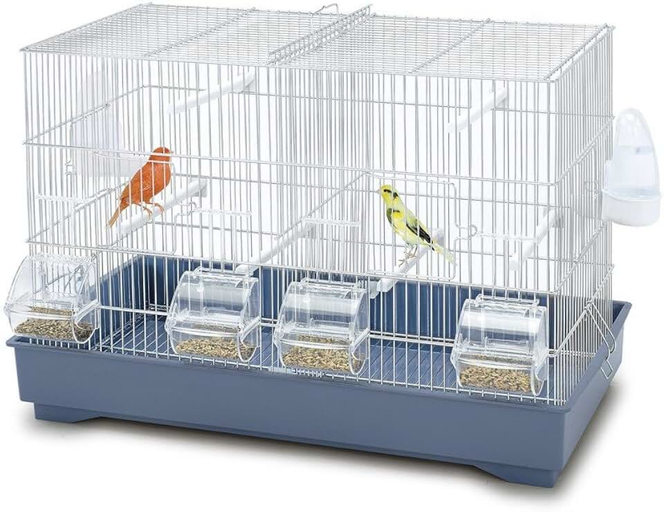 Gabbia Per Canarini 'Cova 2' - Verniciata, Fondo Esterno In Plastica, Con Divisione - Foto 5