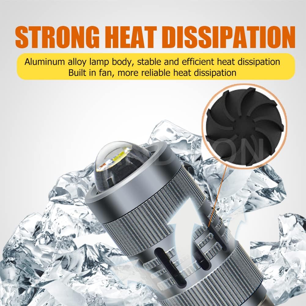 Ruiandsion BA20D Led Bulb