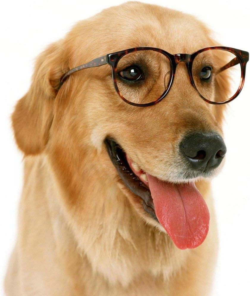 KINBON gnifying Light r, rror – Portable Hand Vanity Magnification Mirrors for Home Tabletop Bathroom with Power Locking Suction Cup, 360 Degree Swivel