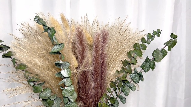 TYEQWT 50 natuurlijke gedroogde pampassticks, decoratie, pampas, geschikt voor boho-huisdecoratie, droogbloemen, decoratie, bruiloftsdecoratie, droogbloemen, knutselwerk (zwart TYEQWT 50 natuurlijke gedroogde pampassticks, decoratie, pampas, geschikt voor boho-huisdecoratie, droogbloemen, decoratie, bruiloftsdecoratie, droogbloemen, knutselwerk (zwart