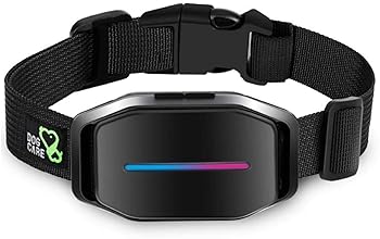 shock collars for chihuahua dogs