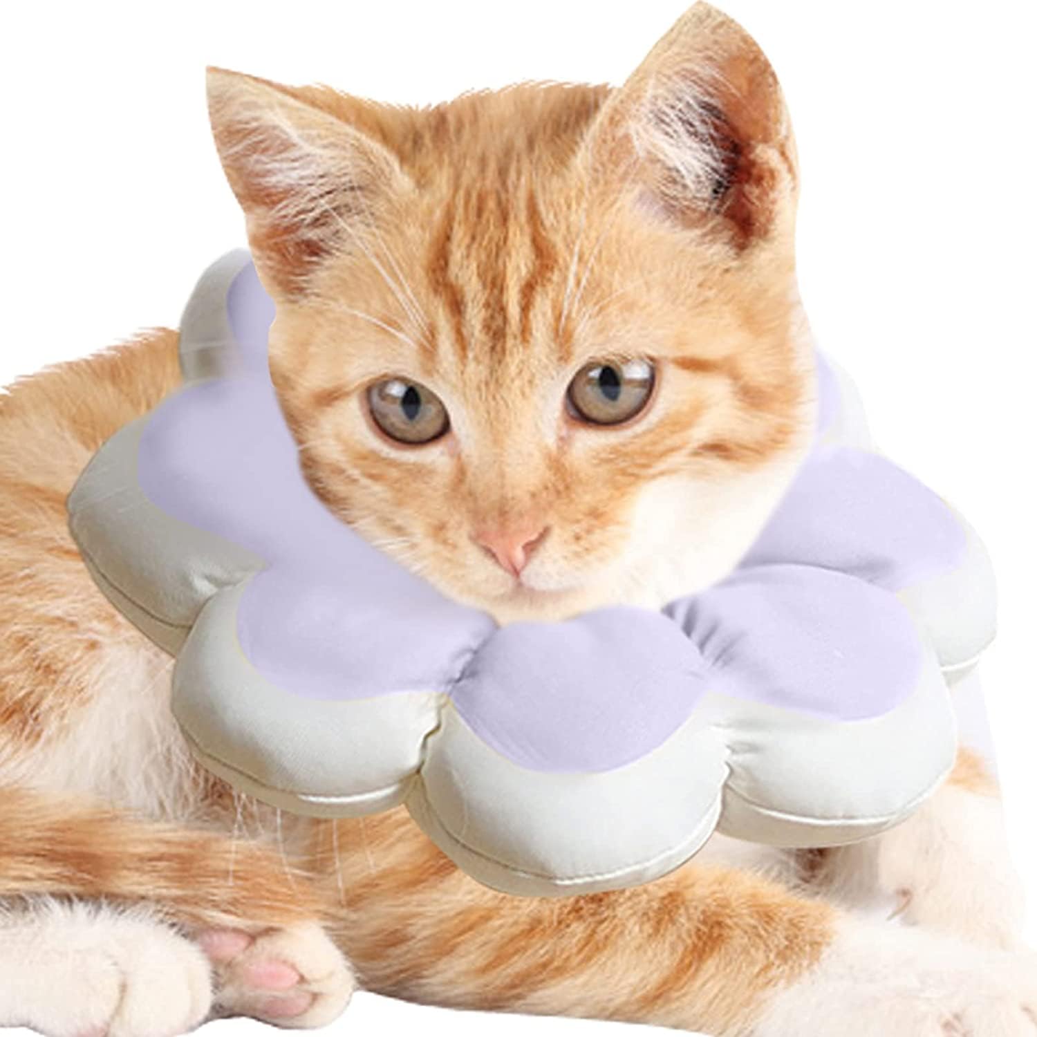 Amazon.co.jp: 猫の首枕 | ソフト軽量コットンペット回復首輪 - 写真  