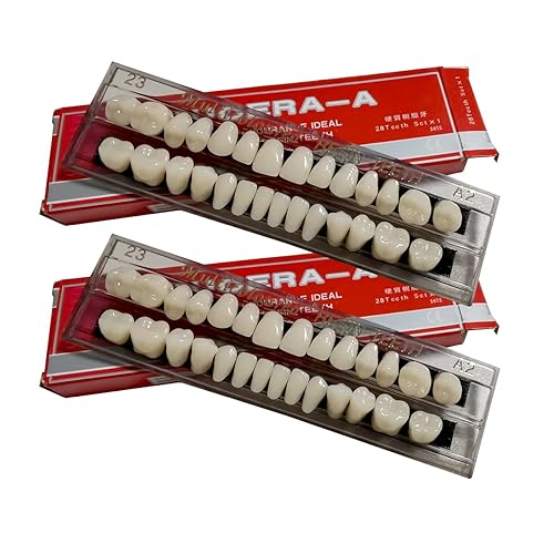 56 Stück falsche Zähne Dental Komplette Acrylharz Zahnersatz, 2 Set