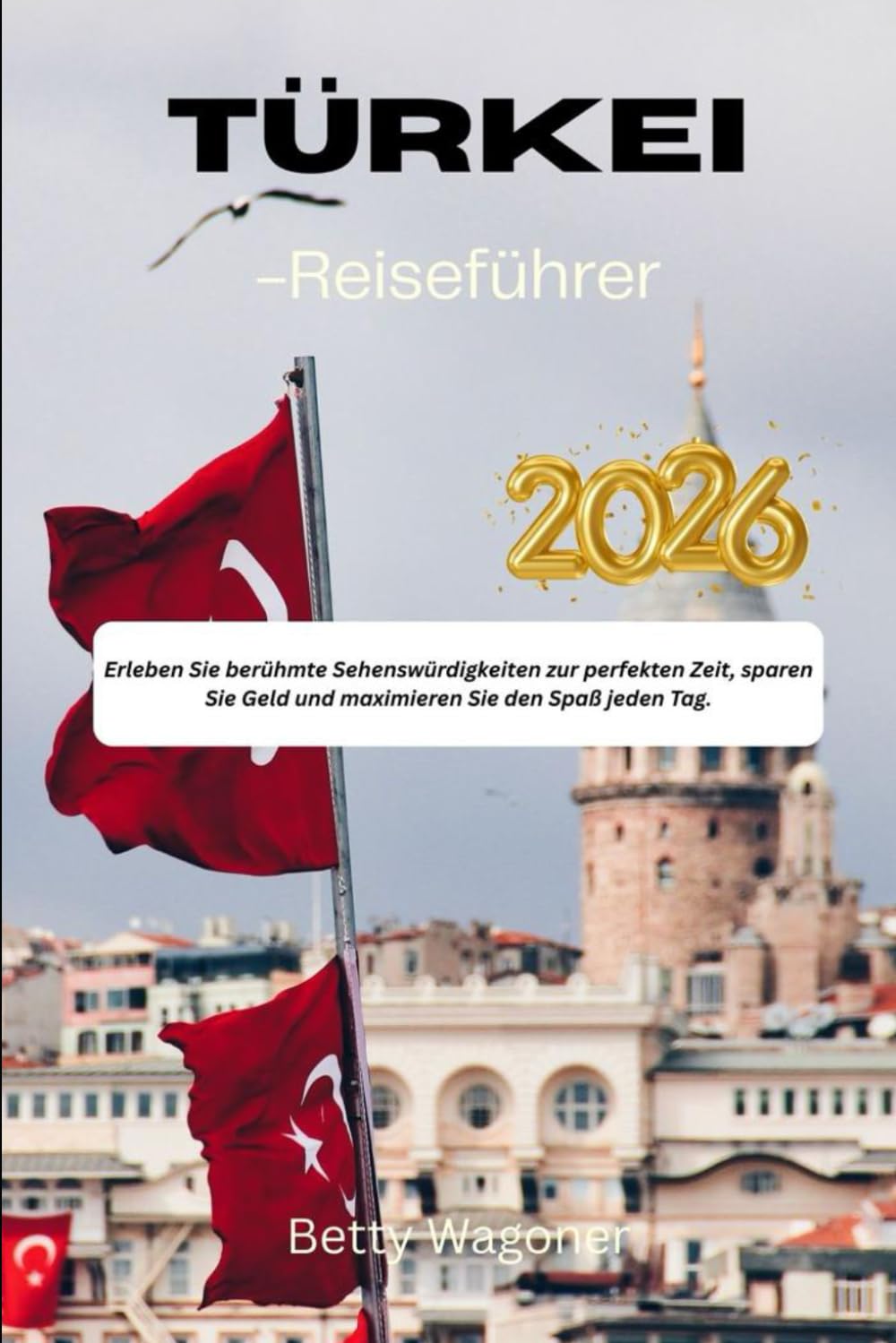 Türkei-Reiseführer 2026: Erleben Sie berühmte Sehenswürdigkeiten zur perfekten Zeit, sparen Sie Geld und maximieren Sie den Spaß jeden Tag.