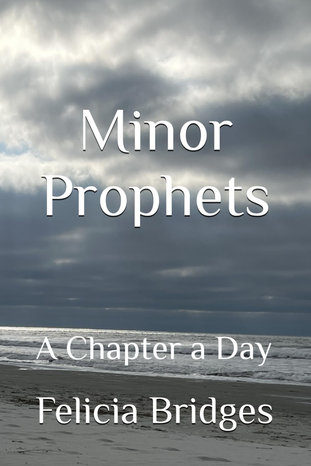 Minor Prophets: A Chapter a Day (The Bible in One Chapter a Day)