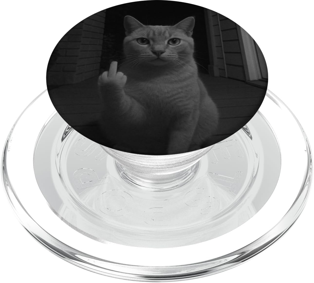 Funny Cat Flipping Off Middle Finger On Security Camera PopSockets PopGrip for MagSafe