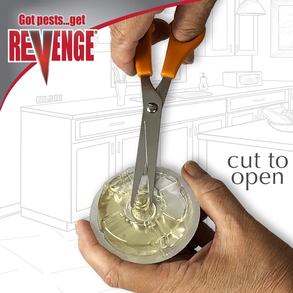 Conquer Pests with REVENGE: A Review of the Ultimate Liquid Ant Bait Stations!
