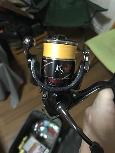 Amazon | ダイワ(DAIWA) 20月下美人X LT1000S－P | DAIWA