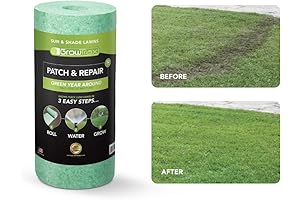 Grotrax Year Round Green: The Evergreen Lawn Miracle
