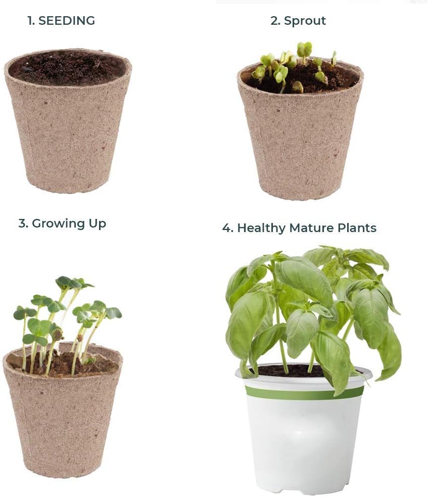 Wellness Tree Biodegradable Seedling Starting Kit for Indoor Outdoor Plants - Plantable Peat Pots with Coco Coir Soil Disc & Plant Markers - Germination Tray - Eco-Friendly Growing Cups - 10 Pack : Patio, Lawn & Garden