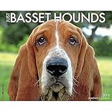Just Basset Hounds 2015 Wall Calendar