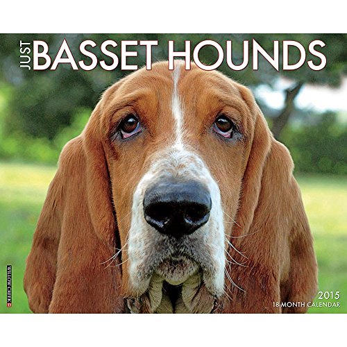 Just Basset Hounds 2015 Wall Calendar