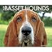 Just Basset Hounds 2015 Wall Calendar