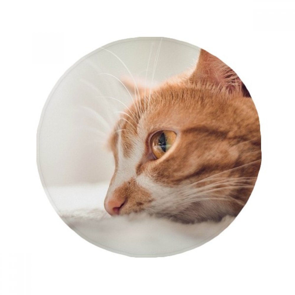 Alfombrilla para gato puro DIYthinker regalo original antideslizante para baño y cocina