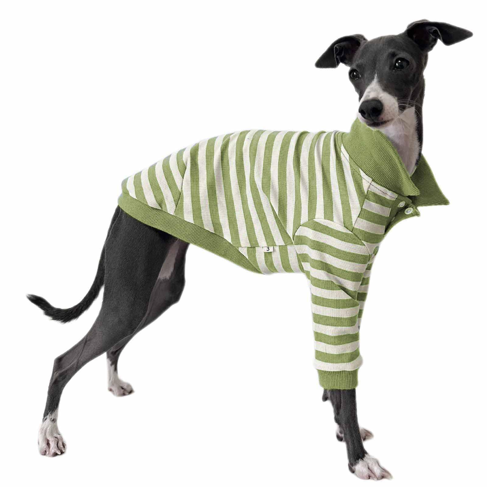 Camisa para Perro con Cuello a Rayas para Perro, Camisetas para Galgo, Linda Sudadera para Perrito, Ropa Suave y Transpirable para Cachorros, Ropa para Perros pequeños y medianos