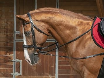 EKKIA Ekia 3338025592581 Horse Riding Equipment reins Black N.PRO Short ELAS.REINS + PUL BLK 306394002, oner Size, Other