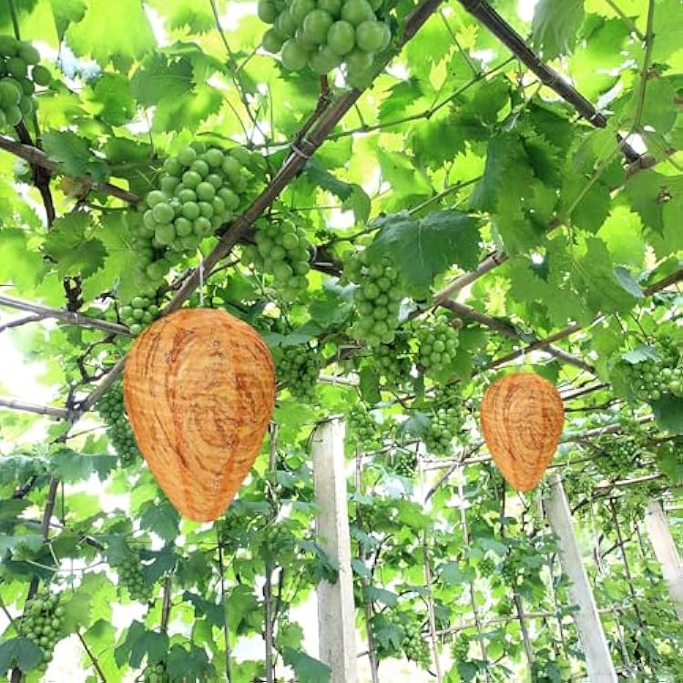 DECYOOL 4 Pack Wasp Nest Decoy Hanging Wasp for Wasps Hornets Yellow Jackets Outdoor Waterproof Material (Orange)