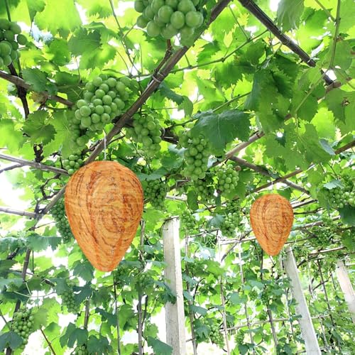 image for DECYOOL 6 Pack Wasp Nest Decoy Wasp for Hornets Yellow Jackets Outdoor