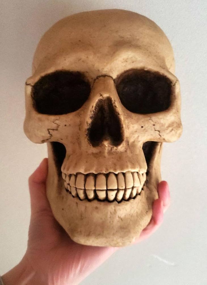 骸骨デザインの樹脂製　貯金箱　約17.5cm 骸骨デザインの樹脂製 貯金箱 約17.5cm 【公式通販】