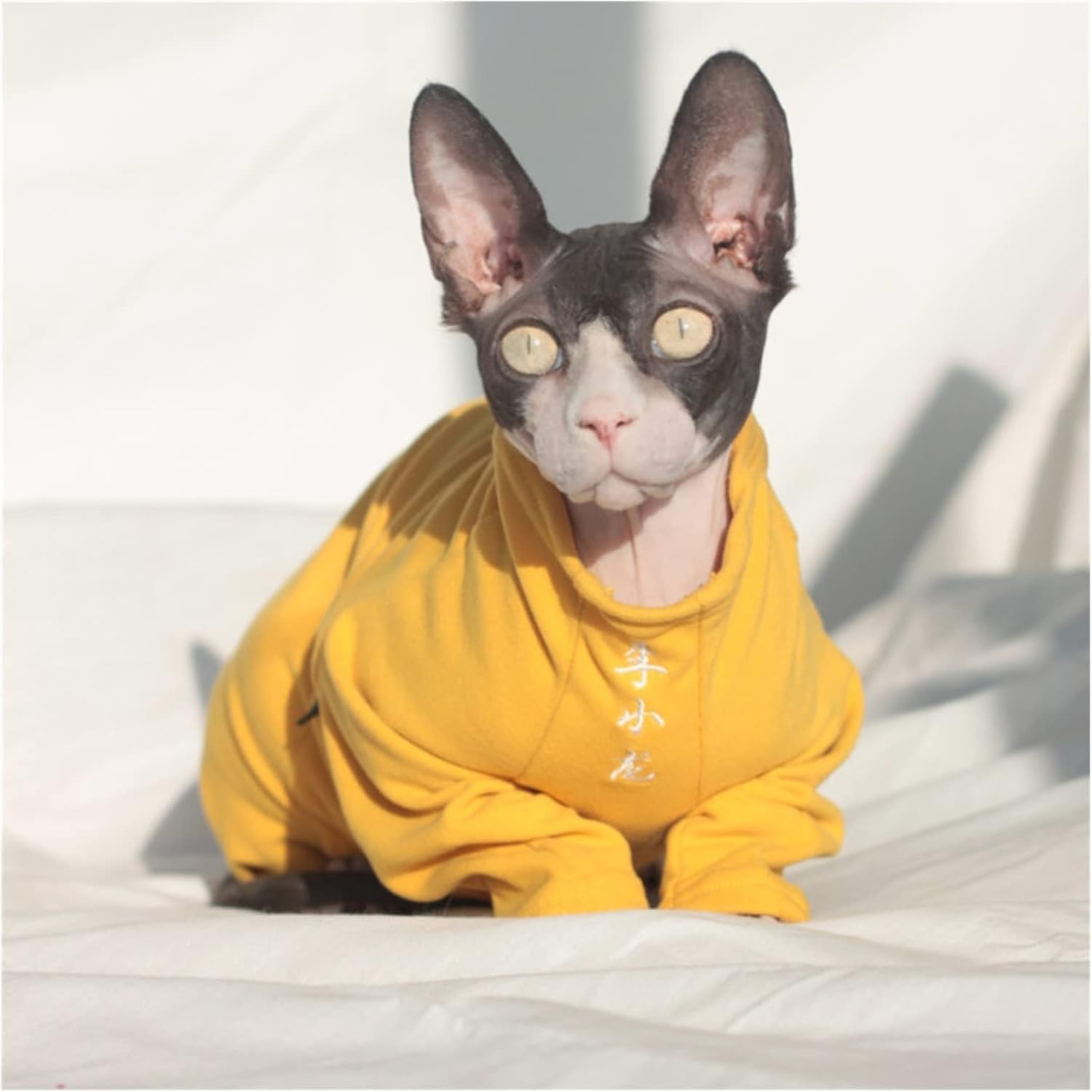 Amazon Co Jp ヘアレスキャット服秋冬暖かい4本足ペット服ブルースリージャンプスーツストレッチ犬服 サイズ M Xx ペット用品 Amazon Co Jp ヘアレスキャット服秋冬暖かい4本足ペット服ブルースリージャンプスーツストレッチ犬服 サイズ M Xx ペット用品