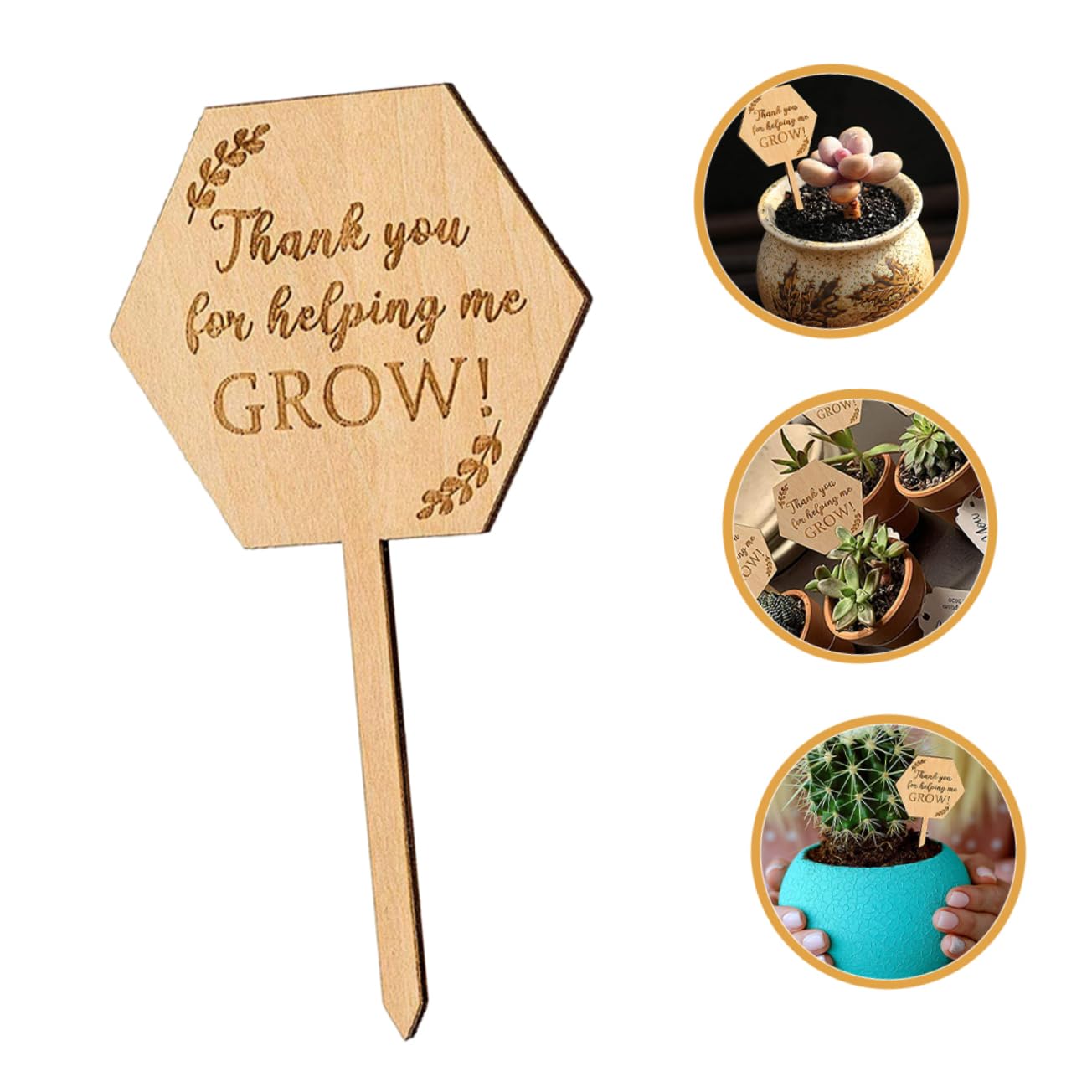 Toddmomy 100pezzi Etichette Per Marcatori Per Giardinaggio Per Bonsai Classificare e Identificare e