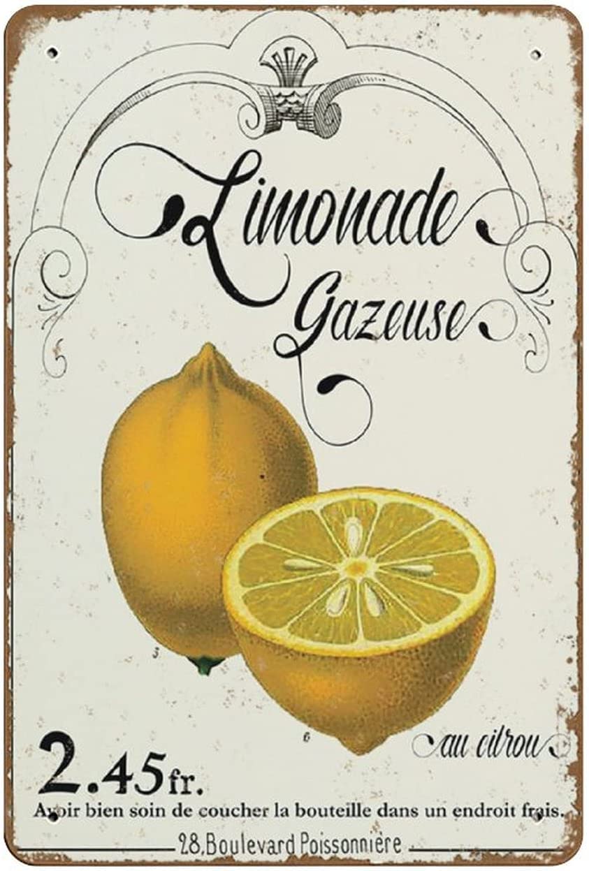 rayprint Vintage French Lemonade Metal Signs Lemon Fruits Menu Retro Poster Wall Art for Garden Men Cave Garage Classroom Library Living Room Decor Plaque 12x16 Inch