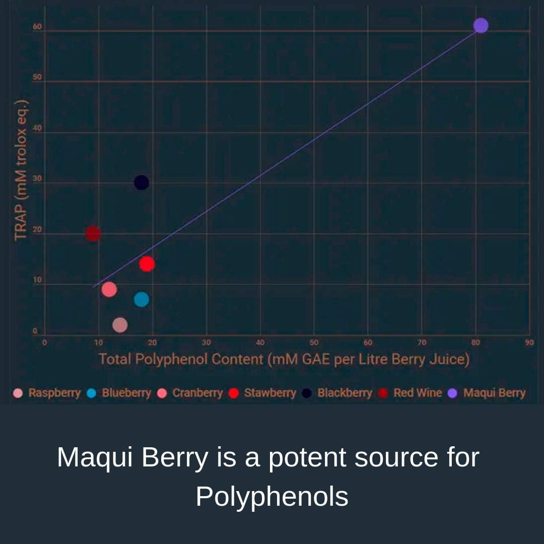 Noomadic Maqui Berry, 60 Capsules | 500mg Each, Antioxidant (High ORAC), Immune System Support, Supports Dry Eyes (Supports Tear Production), Standardized Extract (10% Anthocyanins) - Image 5