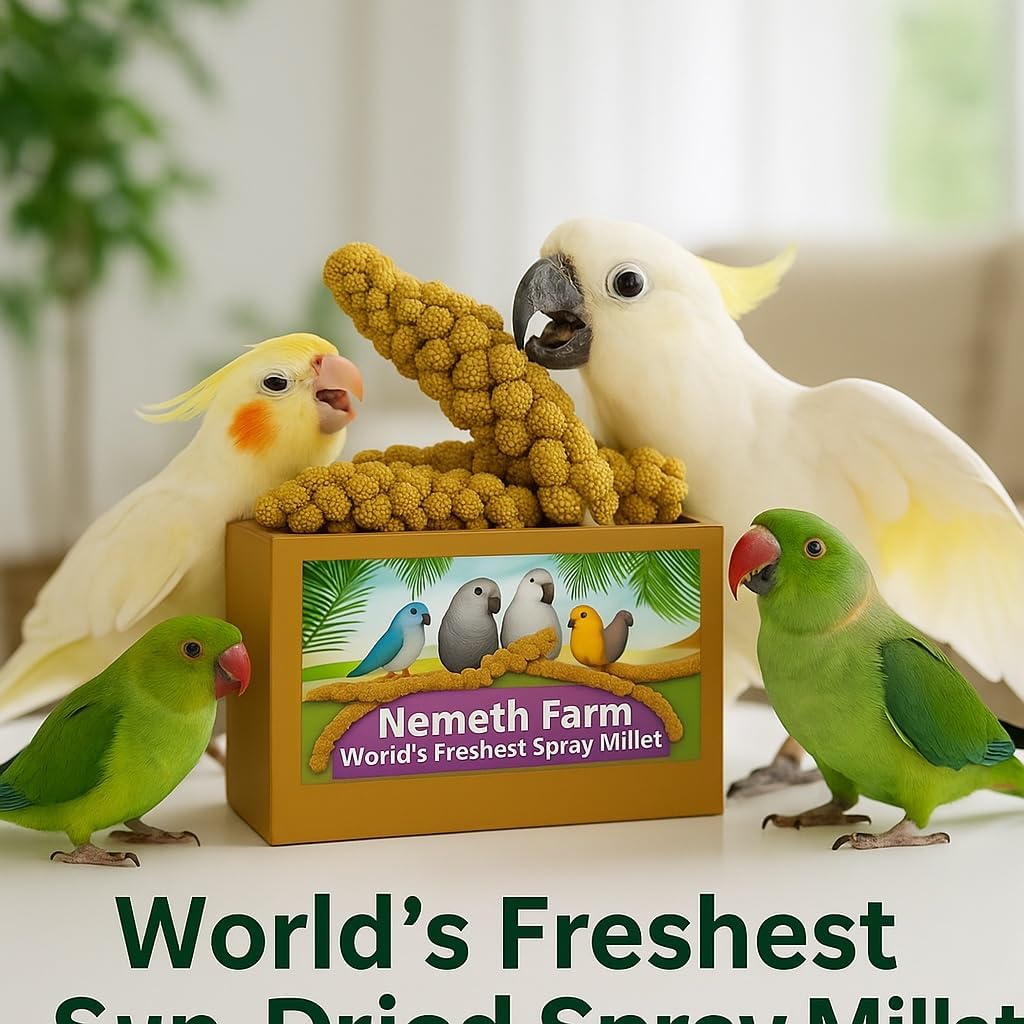 Nemeth Farms–Natural Sun Dried Millet Spray for Pet Birds–Bulk Parrot Seed Treats and Parrot Food–Natural Non GMO Millet Spray–Cockatiels Lovebirds Parakeet 2 lbs.