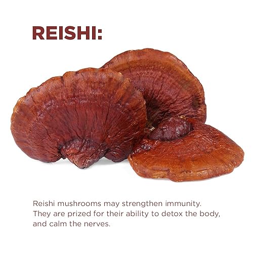 Miniatura 4 de Terrasoul Superfoods Café orgánico de hongos cognitivos, 30 porciones, 14.29 onzas, energiza tu mañana y aumenta la concentración con potentes