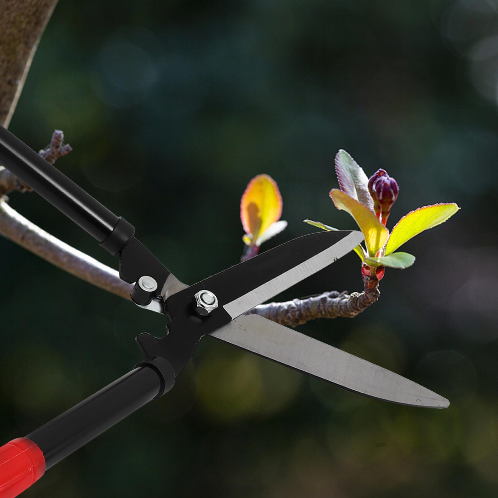 Cisailles de Jardin pour Arbres Fruitiers, Acier au Carbone, Rouge