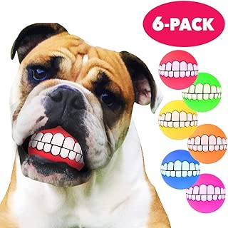 10 Best Dog Teeth Ball Reviewed and 