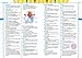 Collins Children's Dictionary: Learn With Words