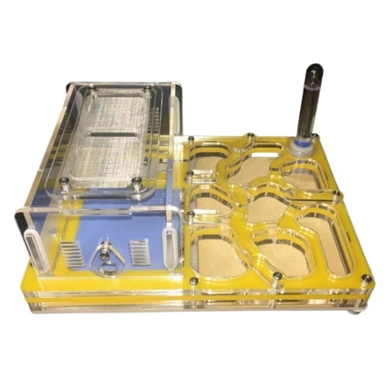 Ameisen Terrarium Ameisenburg Nest Ameisenzuchtkasten Ameisenzucht Ameisennest Farm Formicarium(Yellow)