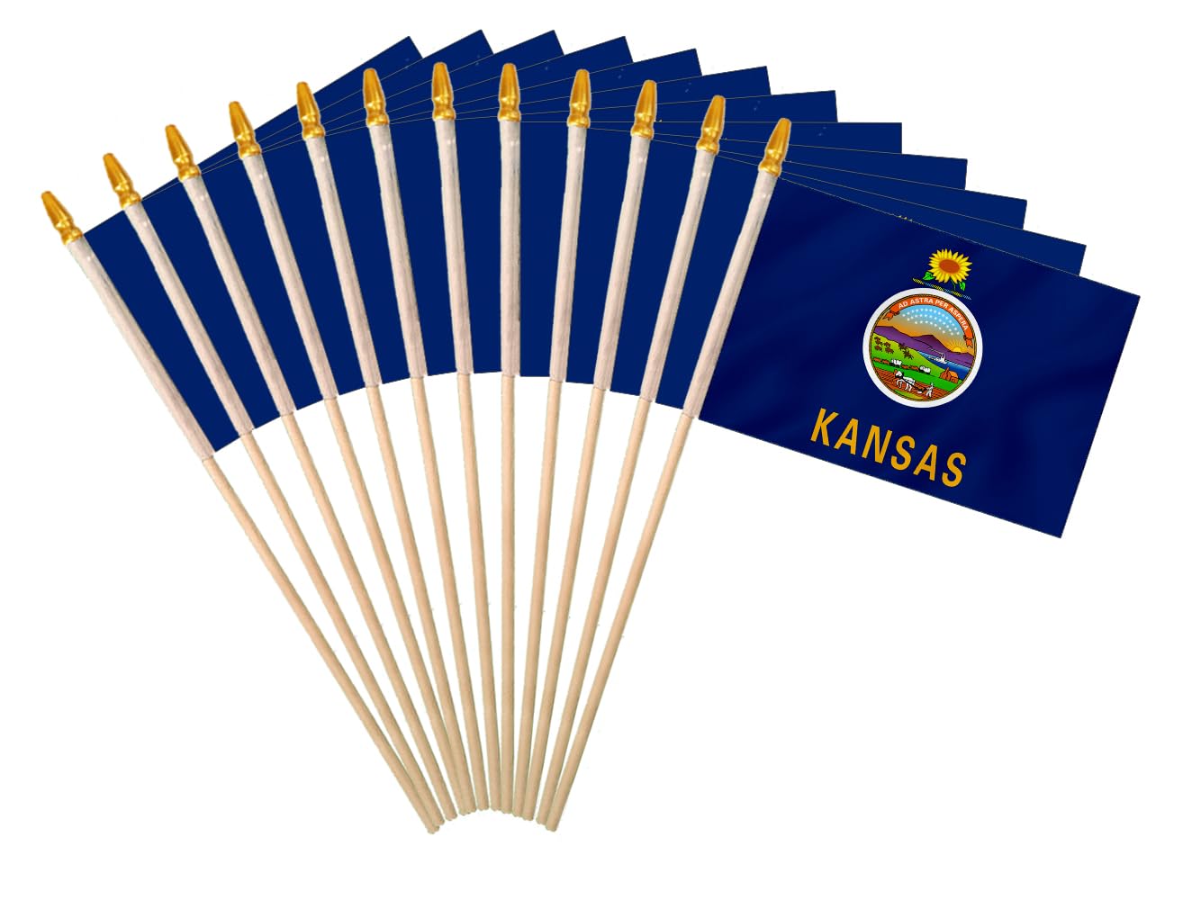 Kansas State Handheld Stick Flag 4x6 Inch 12 Pack Small Mini KS Flag On Wooden Stick For Patriotic Festival Events Party Decoration (KS, 4X6 In)