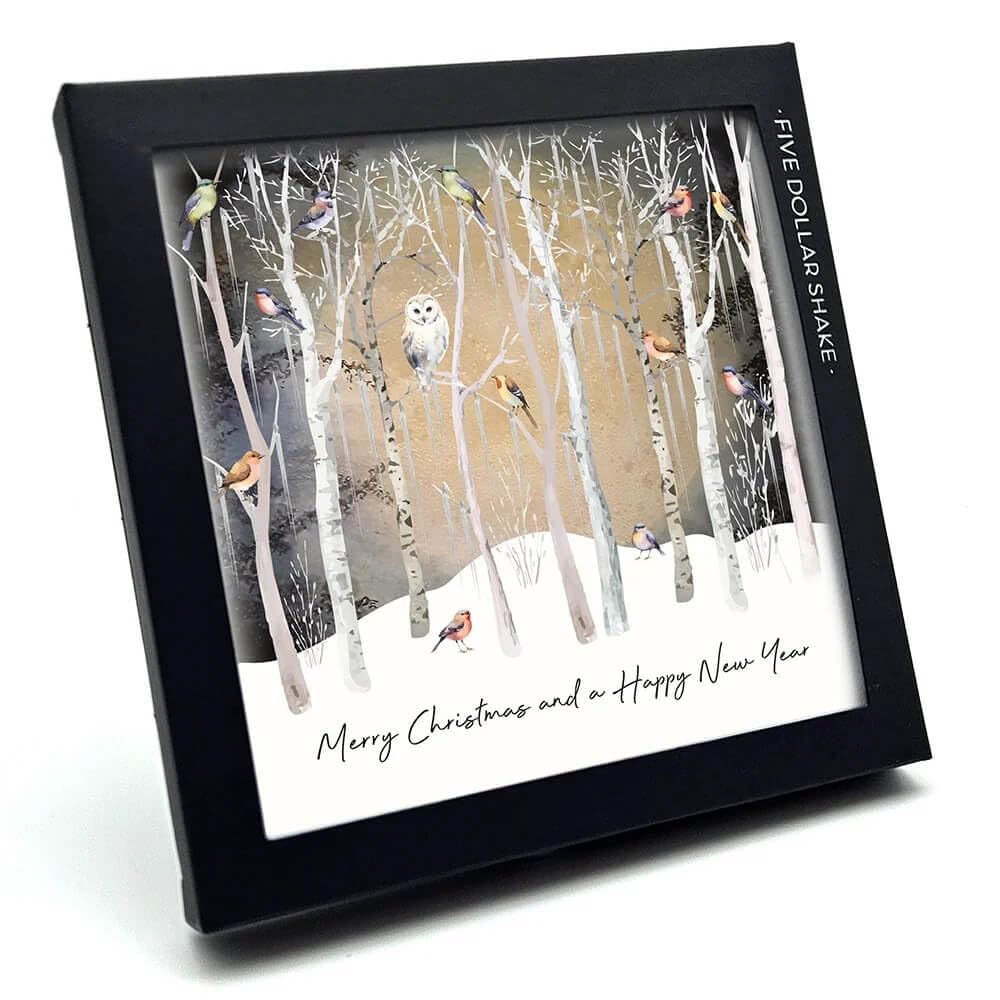Five Dollar Shake 6 Luxury Christmas Cards Owl and Robins Design Xmas Box Set
