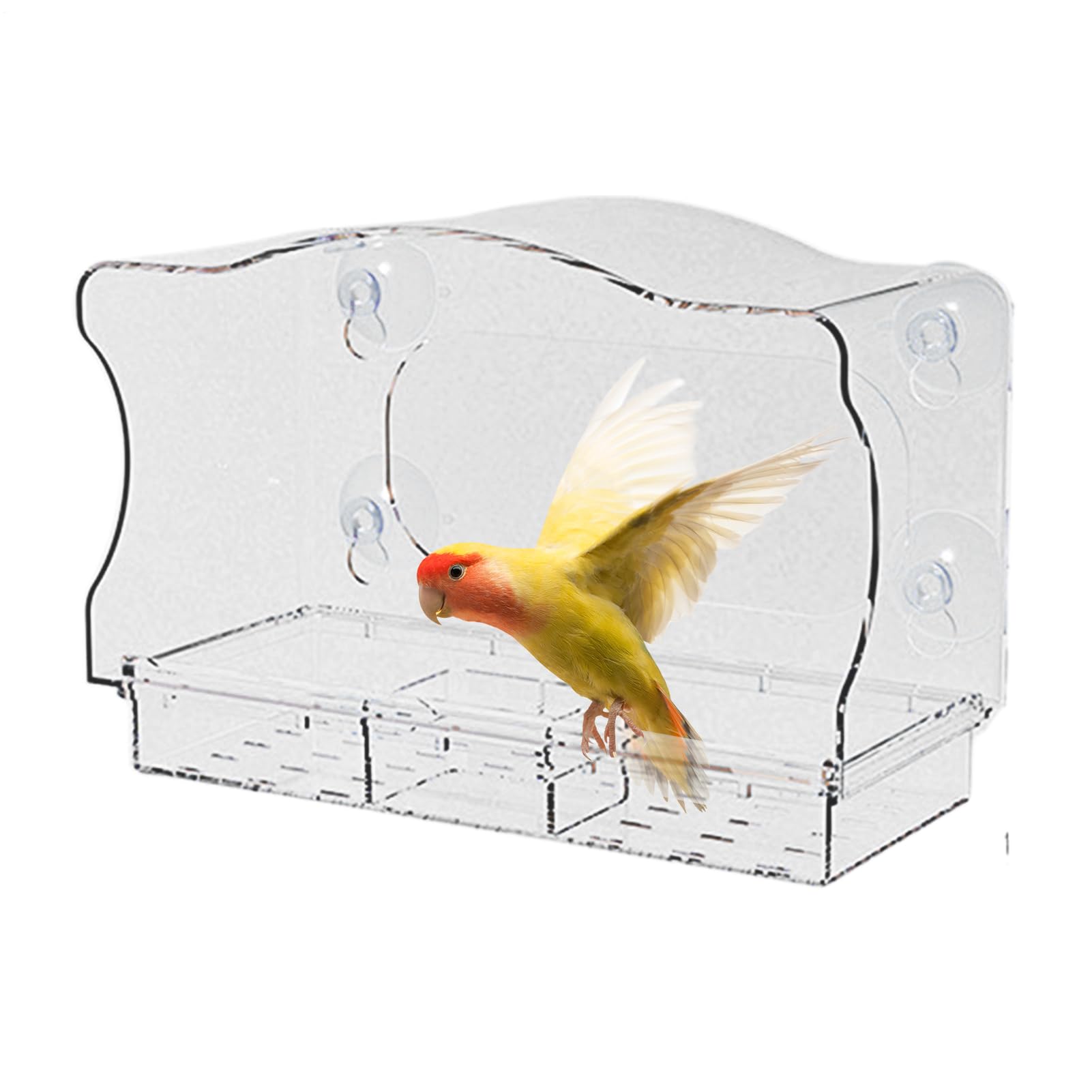 Mangeoire oiseaux pour fenetre : observez la nature de votre veranda