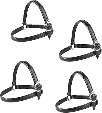 UPSTORE 2 Pairs Detachable Shoe Straps Anti-slip Ankle Strap Anti-Loose Shoelace Accessory for Holding Loose High Heel