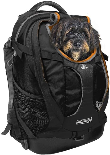 puppy with backpack