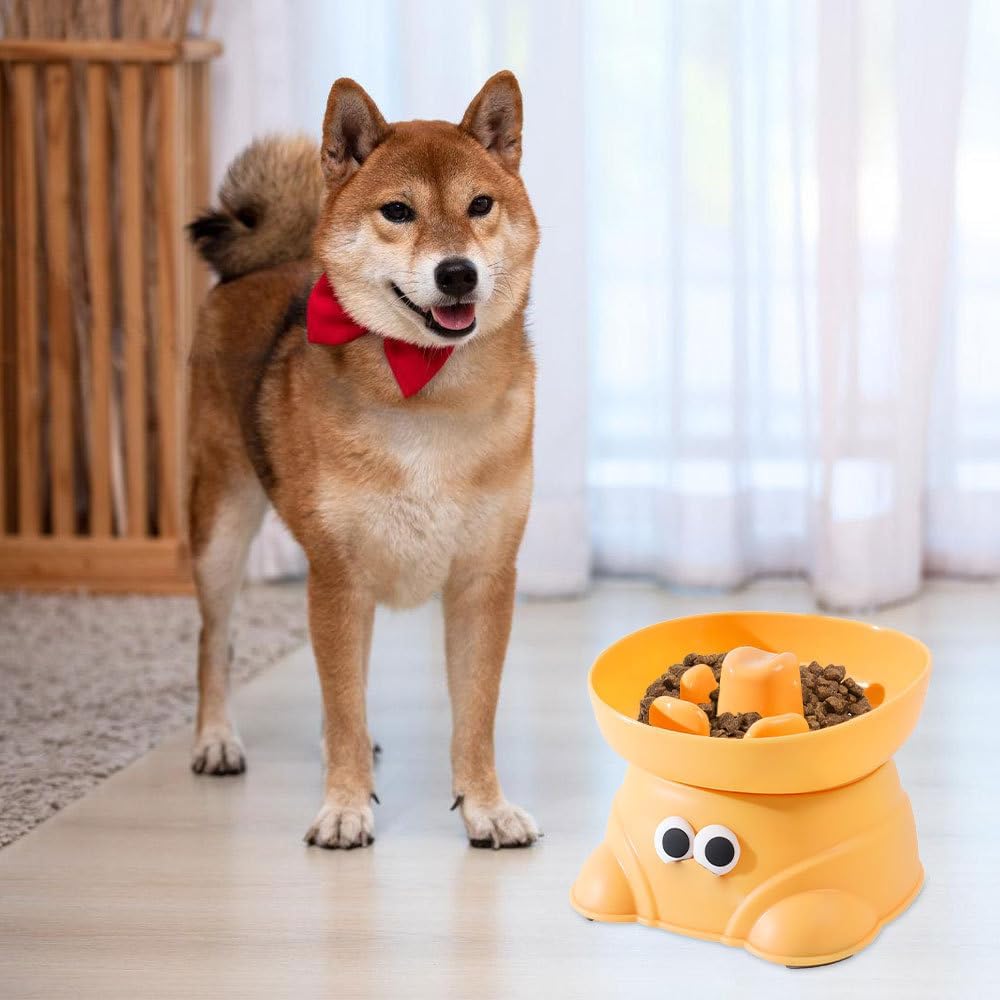 Raised Slow Feeder Cat Bowl, Tilted Elevated Cat Food Bowls with Anti-Slip Strips, Anti Vomiting Slow Feeder Bowl for Cats Kitten Dogs