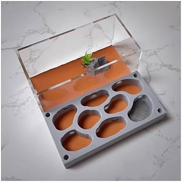 Ant Farm Castle 3D Acrylic Ants Nest Kit with Feeding Area Gypsum Ant Habitat House Unlimited Expansion Anthill Ecological Workshop