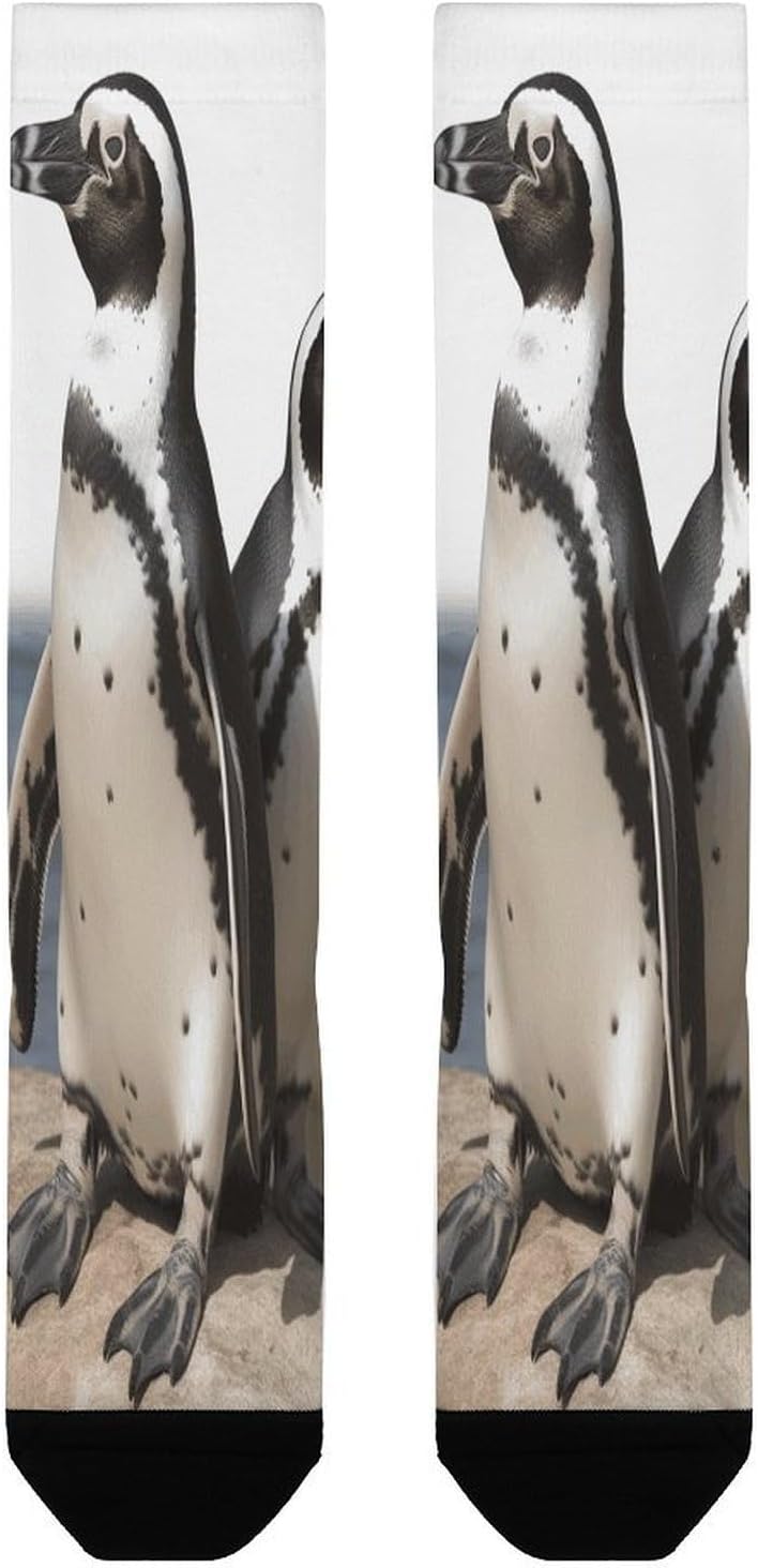 African Penguin Crew Socks Calf Socks Athletic Crew Sock